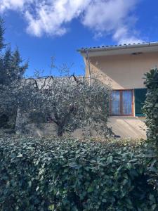 En have udenfor Casa la Quercia + 23 billeder