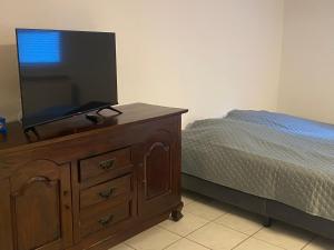 sypialnia z telewizorem na komodzie z łóżkiem w obiekcie Ruhiges Apartment nahe Innenstadt und Kliniken w mieście Erlangen