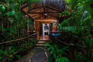 Ein Garten an der Unterkunft Ocho Artisan Bungalows