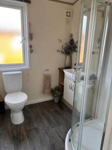 a bathroom with a toilet and a shower and a sink at Rachels Luxury Tattershall Hot Tub & Fishing Retreat in Tattershall +45 photos