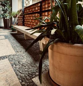 un banc dans une cour avec une plante en pot dans l'établissement Residenza Ximenes, à Palerme