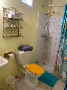 a bathroom with a toilet and a shower at LA MAISON BLEUE ECO-TOURISME in Le Vauclin