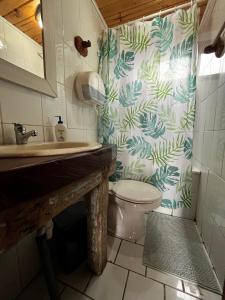 ラ・エンセナダにあるCabañas y Camping Barloventoのバスルーム(洗面台、シャワーカーテン付きトイレ付)