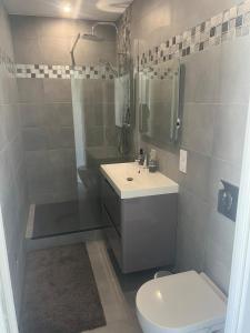 a bathroom with a toilet and a sink and a shower at Petite maison au calme in Beynost