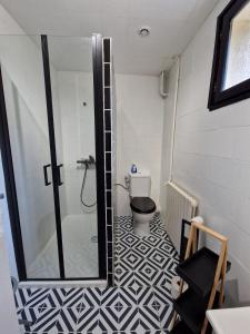 a bathroom with a toilet and a glass shower at Parenthèse Bergeracoise in Bergerac +39 photos
