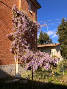 un árbol cubierto de flores púrpuras frente a un edificio en ROSSENA HOME tranquillo appartamento, con giardino, vicino al centro ed all'Ospedale Santa Maria Nuova SMN, en Reggio Emilia