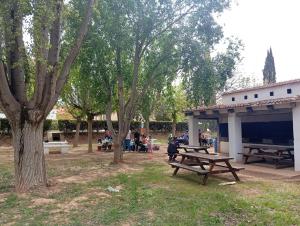 a group of people sitting around a picnic table in a park at Manzaneque Rural House in Caudete de las Fuentes