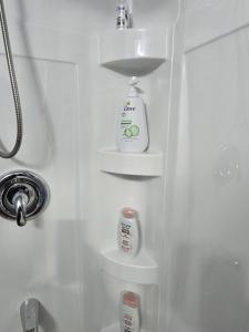 a bathroom with a shower with a bottle and shelves at Jaykay executive suite in Winnipeg
