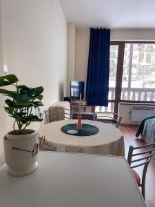 a living room with a table and a potted plant at Sunny studio in Pamporovo in Pamporovo +49 photos