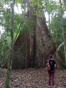 a woman standing in front of a large tree at Redário Pô do Sol in Água Boa