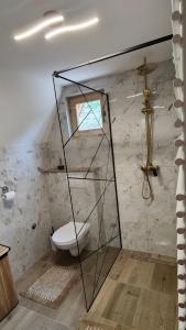 a bathroom with a toilet and a glass shower at Cottage MIRNI RAJ in Jajce
