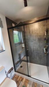 una doccia con una porta in vetro in un bagno di Wzgórze Jasia a Walim Altre 46 foto