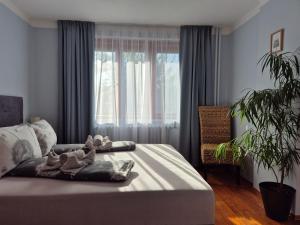 a bedroom with a bed with towels and a window at Ubytovanie Klinger - chata nad jazerom in Banská Štiavnica