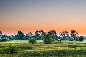 a horse grazing in a field at sunset at Brembroeken, De Houtendonck in Vortum-Mullem