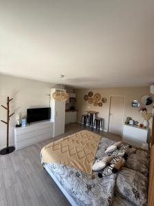 una camera da letto con un letto grande e una TV di Lodge Cosy tout confort Lodge des Oliviers a Ganges