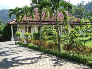 a house with palm trees in front of it at Guesthouse Rumah Senang in Kalibaru