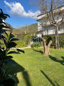 a green yard with a tree and a building at Casa da Cinzia in Montoro Inferiore