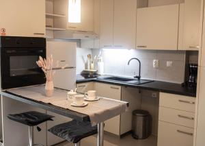 Kuchyň nebo kuchyňský kout v ubytování Apartman „Bernarda”