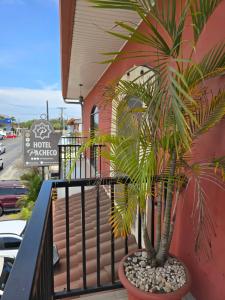 Fotografie z fotogalerie ubytování Hotel Pacheco v destinaci Las Tablas
