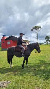 a man riding a black horse in a field at Pousada Luar dos Campos in Bom Jardim da Serra
