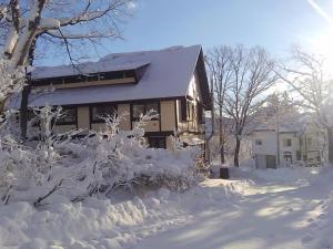a house covered in snow with trees and bushes at Funky Monkey Lodge, Myoko ファンキーモンキーロッジ 妙高 in Myoko