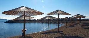 a group of umbrellas on a beach near the water at Fabris Apartments with pool and top location near sea in Novigrad Istria
