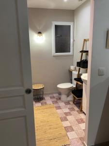 a bathroom with a toilet and a window at Gîte avec spa in Saint-Avit-Sénieur +18 photos