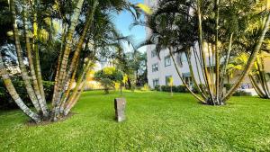 Una roca sentada en la hierba entre dos palmeras. en Apto Barreiro by Susy's Holidays, en Funchal