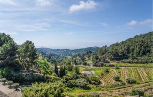 ラ・キャディエール・ダズールにあるGorgeous Apartment In La Cadiére D'azurの木々が生い茂る谷間のブドウ園の景色 +9枚の写真