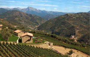 an aerial view of a vineyard in the mountains at Beautiful Home In Dolceacqua in Dolceacqua