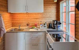 Η κουζίνα ή μικρή κουζίνα στο Awesome Home In Haderslev