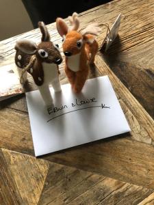 Afbeelding uit fotogalerij van Maison Zeldenrust in Hoenderloo +64 foto's