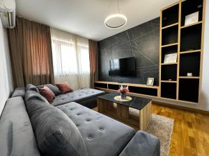 Una sala de estar con un sofá y un televisor. en MAR Residence 14, en Niš