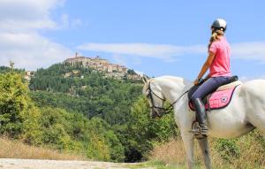a woman riding a white horse on a mountain at Nice Home In Monte Smaria Tiberina in Monte Santa Maria Tiberina