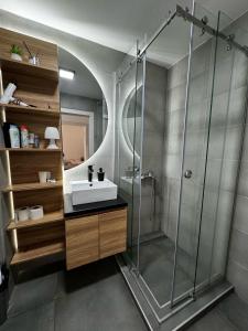 a bathroom with a sink and a shower at MAR Residence 15 in Niš