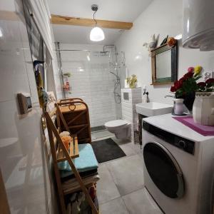 a bathroom with a toilet sink and a washing machine at Siedlisko Magnolia in Wólka Sulejowska +60 photos