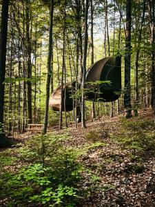 a large object in a forest with trees at WisiLas Nad Sercowym Potokiem in Rabka-Zdrój