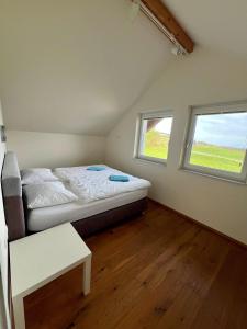a bedroom with a bed and two windows at Modernes Ferienhaus mit Pool Nähe Wörthersee & Golfplatz in Feldkirchen in Kärnten