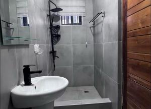 a bathroom with a white sink and a shower at Beautiful 2-bed apartment East Legon in Ajiringano