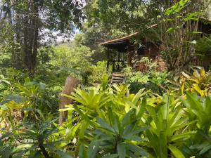 a house in the middle of a forest at Cabana Santa Premium in Rio de Janeiro