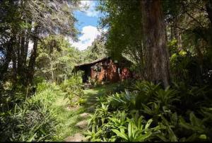 an old cabin in the middle of a forest at Cabana Santa Premium in Rio de Janeiro +10 photos