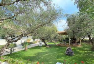 a garden with trees and a gazebo at Villa Dionysia Amoudi in Amoudi
