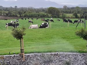 Animais in the country house ou nos arredores