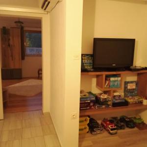 Sjónvarps- og/eða afþreyingartæki á Apartmaji BORŠTNER