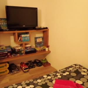 Sjónvarps- og/eða afþreyingartæki á Apartmaji BORŠTNER