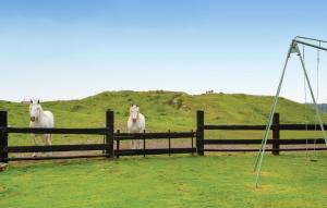 three white horses standing behind a wooden fence at 3 Bedroom Amazing Home In Hames Boucres in Hames-Boucres
