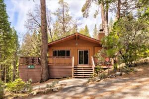 a house in the woods with a tree at Evergreen in Wawona