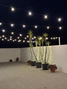 Fotografie z fotogalerie ubytování Maresia Villa Mar v destinaci Nazaré