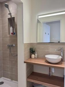 Appt Ideal groupes, prox Eurexpo في سانت-بريست: حمام مع حوض و مرآة و دش