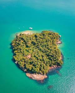 Naturlandskabet i nærheden af båden